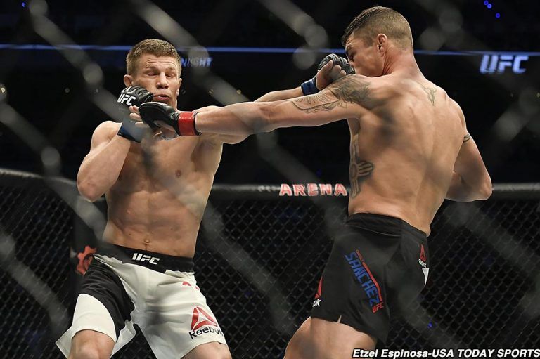 UFC: Marcin Held przegrywa przez nokaut na gali w Sztokholmie [WIDEO]