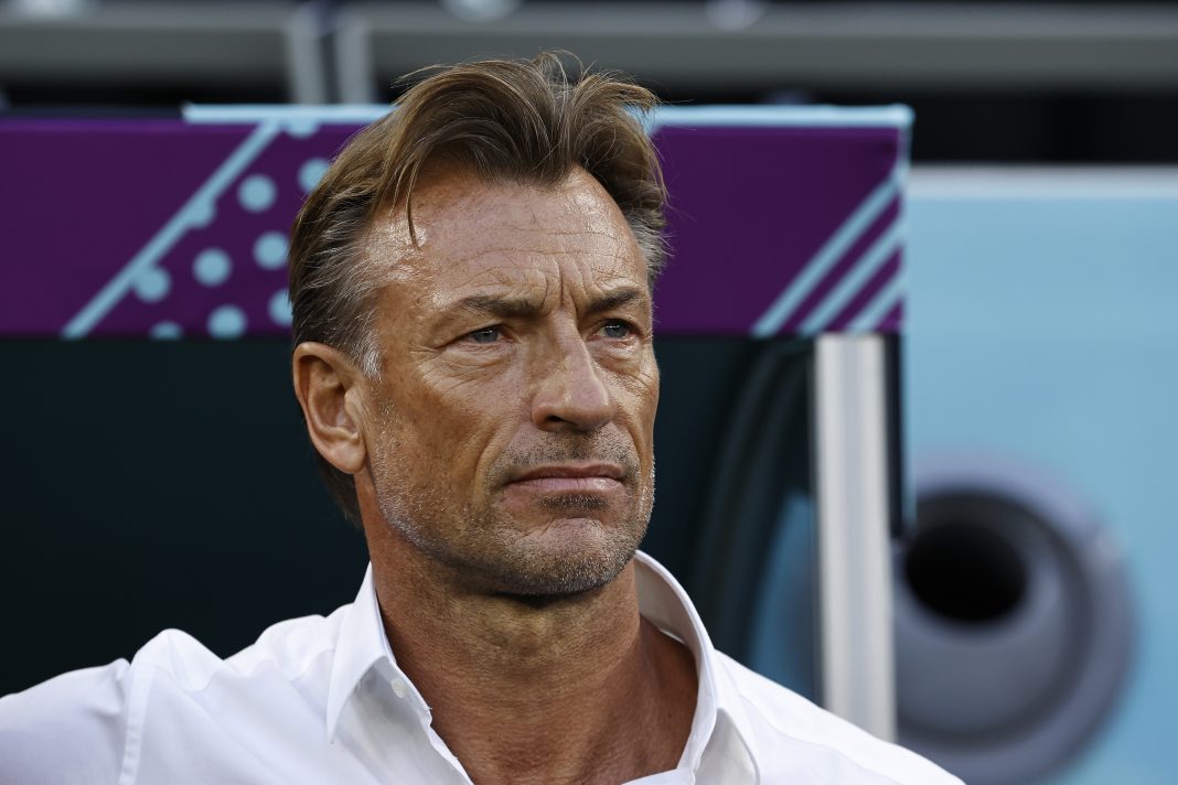 Herve Renard, MŚ 2022