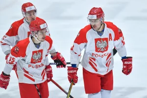 Patryk Wronka, Grzegorz Pasiu, hokej na lodzie